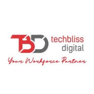 Techbliss Digital logo