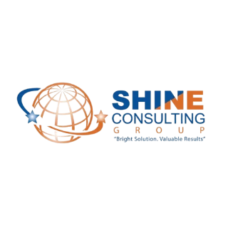 Shayn Group Consulting logo